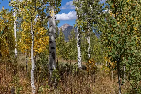 58055 Jupiter Pl, Clark, CO 80428 photo 6