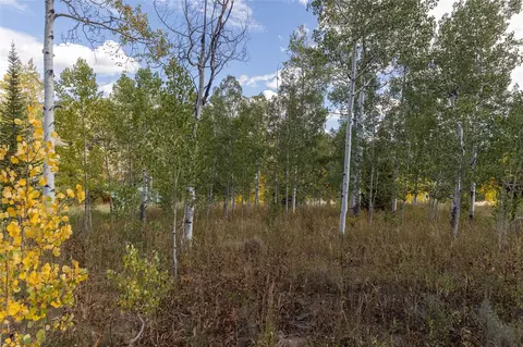 58055 Jupiter Pl, Clark, CO 80428 photo 20