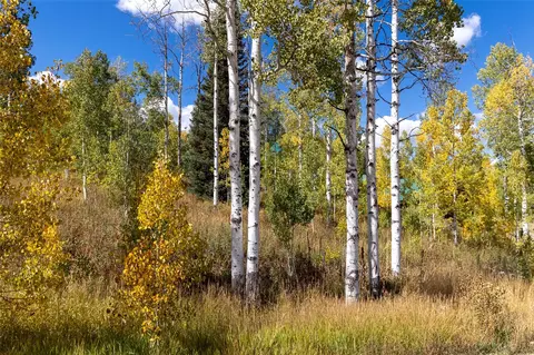 58055 Jupiter Pl, Clark, CO 80428 photo 23