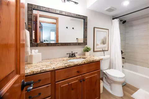 Bath - 176 E La Bonte St #A-306, Dillon, CO 80435 photo 3 of 3