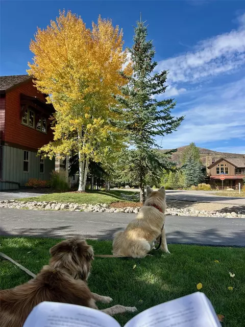 1315 Turning Leaf Ct #DEED F, Steamboat Springs, CO 80487