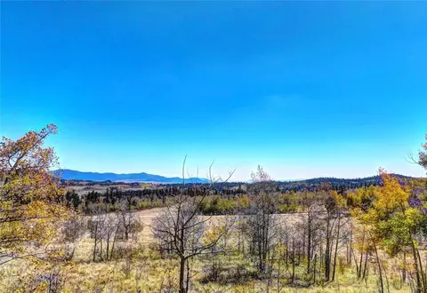74 Antelope Cir, Como, CO 80456 photo 2