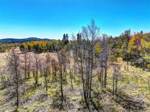 74 Antelope Cir, Como, CO 80456 photo 6