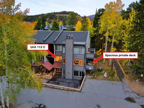 705 Snowberry Ln #112, Breckenridge, CO 80424