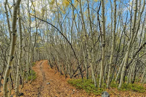 4227 J M C, Leadville, CO 80461