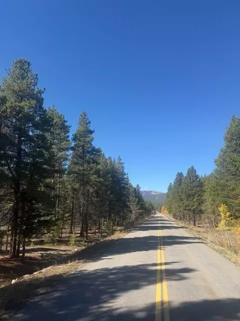 1541 Mountain View Dr, Leadville, CO 80461