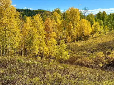 26925 Beaver Canyon Dr, Clark, CO 80428
