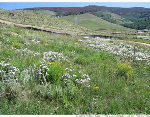 35 Pheasant Tail Ln, Silverthorne, CO 80498 photo 4