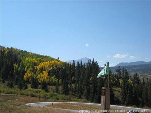 920 Bald Eagle Rd, Silverthorne, CO 80498 photo 2