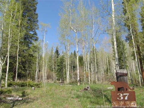 351 Two Cabins Dr, Silverthorne, CO 80498 photo 3