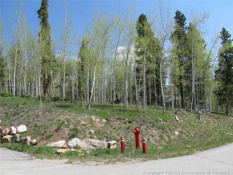 351 Two Cabins Dr, Silverthorne, CO 80498 photo 5