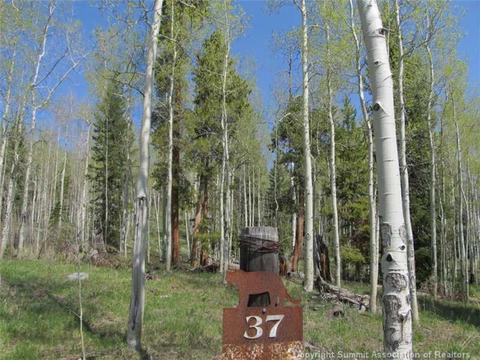 351 Two Cabins Dr, Silverthorne, CO 80498 photo 4