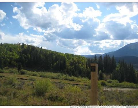 1228 Bald Eagle Rd, Silverthorne, CO 80498 photo 6