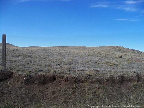 1102 Goshawk Rd, Como, CO 80432 photo 5