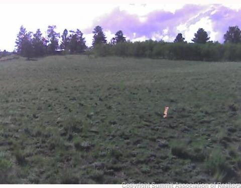 39 Pistol Way, Como, CO 80432 photo 2