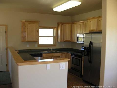 664 Tristan Loop, Fairplay, CO 80440 photo 5