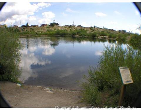 664 Tristan Loop, Fairplay, CO 80440 photo 12