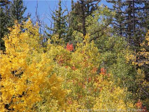 186 Sanderling Ct, Como, CO 80432 photo 4