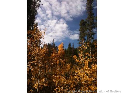 186 Sanderling Ct, Como, CO 80432 photo 6