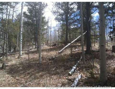 186 Sanderling Ct, Como, CO 80432 photo 3