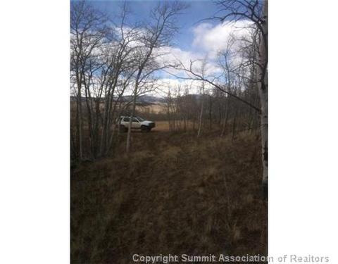 186 Sanderling Ct, Como, CO 80432 photo 7