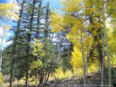 186 Sanderling Ct, Como, CO 80432 photo 2