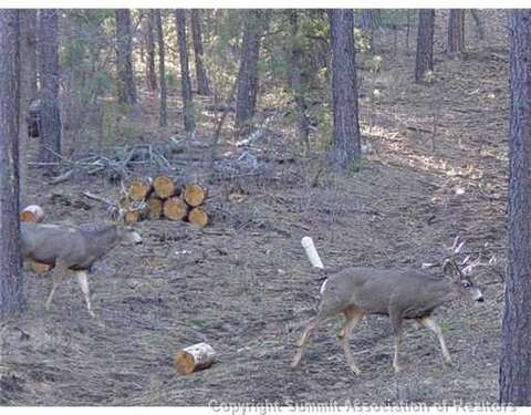 137 Ute Trl, Como, CO 80432 photo 5
