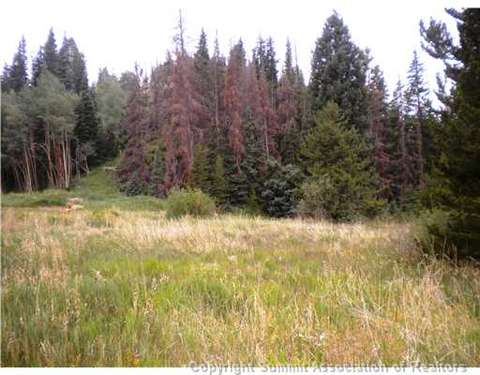 978 Deer Path Rd, Dillon, CO 80435 photo 1