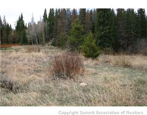 978 Deer Path Rd, Dillon, CO 80435 photo 5