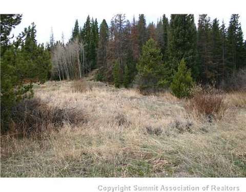 978 Deer Path Rd, Dillon, CO 80435 photo 3