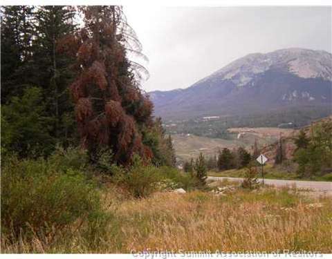 978 Deer Path Rd, Dillon, CO 80435 photo 2