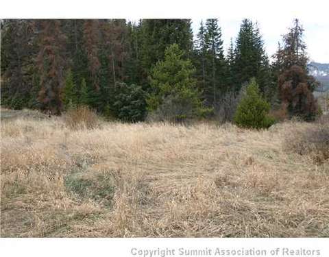 978 Deer Path Rd, Dillon, CO 80435 photo 4