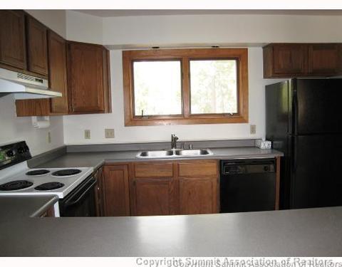 749 Piney Acres Cir, Dillon, CO 80435 photo 5