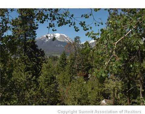 749 Piney Acres Cir, Dillon, CO 80435 photo 3
