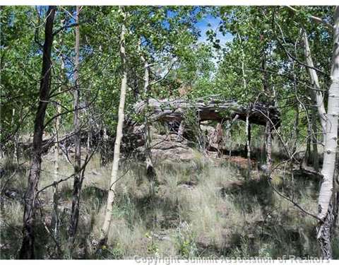 313 Kodiak Rd, Como, CO 80432 photo 6