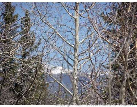 313 Kodiak Rd, Como, CO 80432 photo 3