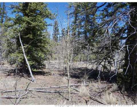 313 Kodiak Rd, Como, CO 80432 photo 12