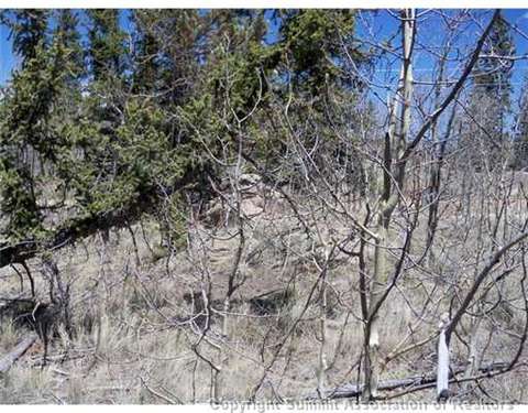 313 Kodiak Rd, Como, CO 80432 photo 11