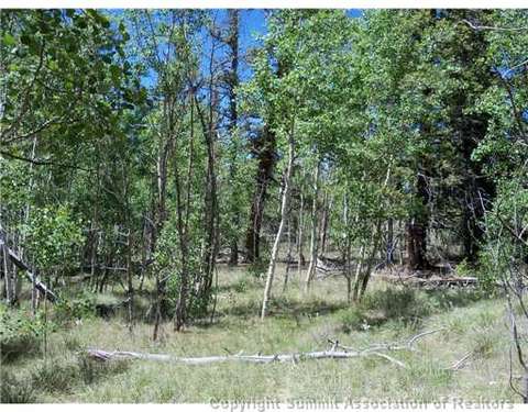313 Kodiak Rd, Como, CO 80432 photo 2
