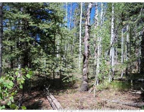 313 Kodiak Rd, Como, CO 80432 photo 4