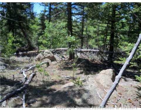 313 Kodiak Rd, Como, CO 80432 photo 7