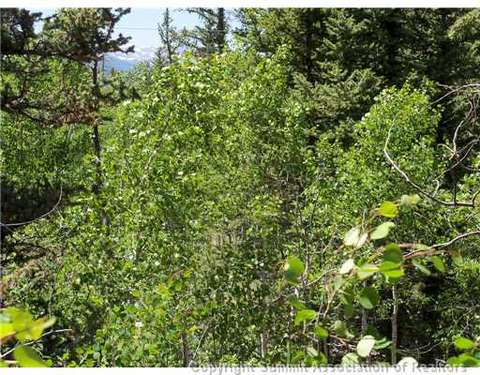 313 Kodiak Rd, Como, CO 80432 photo 8