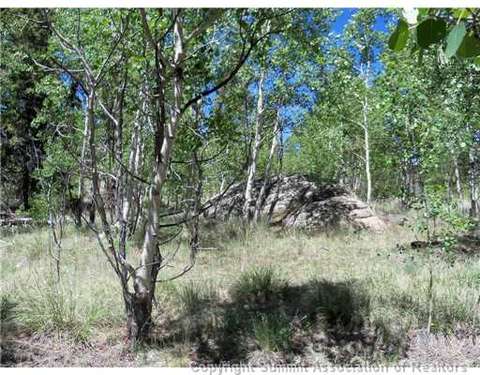 313 Kodiak Rd, Como, CO 80432 photo 1