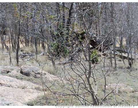 313 Kodiak Rd, Como, CO 80432 photo 10