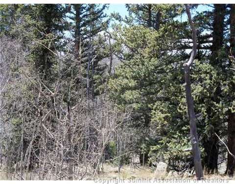 313 Kodiak Rd, Como, CO 80432 photo 9