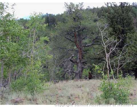 1115 Osprey Rd, Como, CO 80432 photo 9