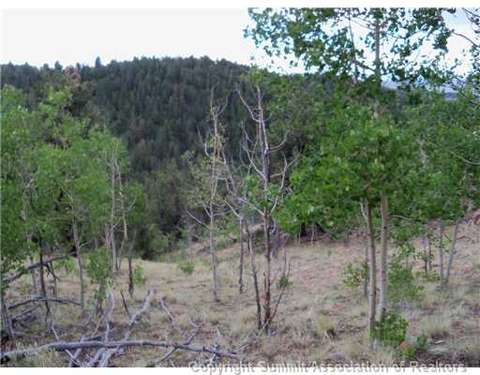 1115 Osprey Rd, Como, CO 80432 photo 7