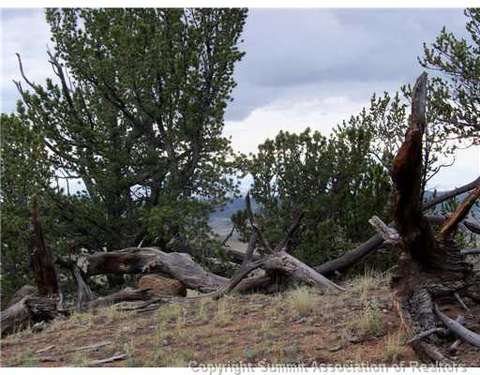 1115 Osprey Rd, Como, CO 80432 photo 6