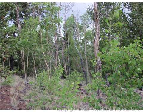 1115 Osprey Rd, Como, CO 80432 photo 10