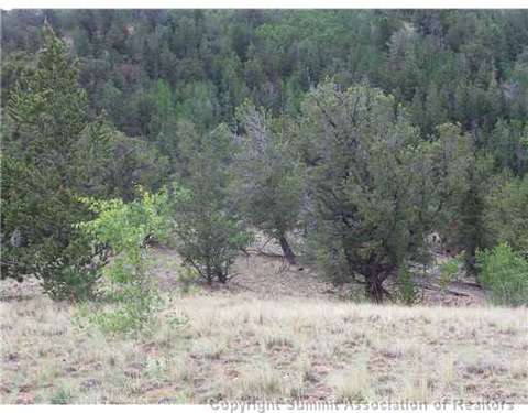 1115 Osprey Rd, Como, CO 80432 photo 8